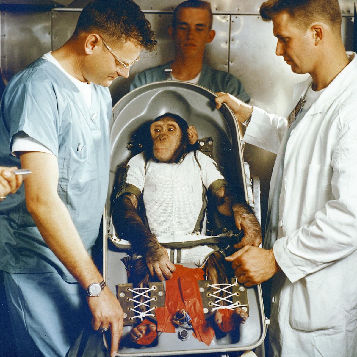 Apes Robots And Men The Life And Death Of The First Space Chimp Apes Robots And Men The Life And Death Of The First Space Chimp