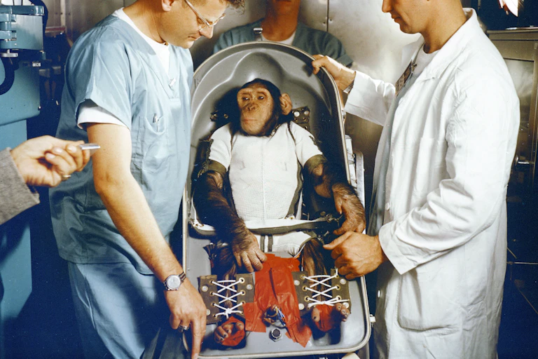 A chimpanzee wearing white clothing strapped into a seat surrounded by three men in lab coats.