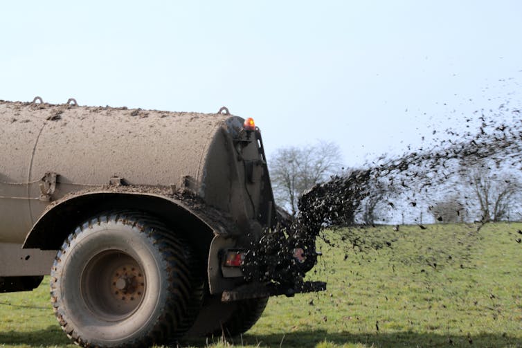 A truck distributes manure on a farmer's field.