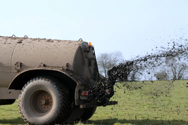 A truck distributes manure on a farmer's field.