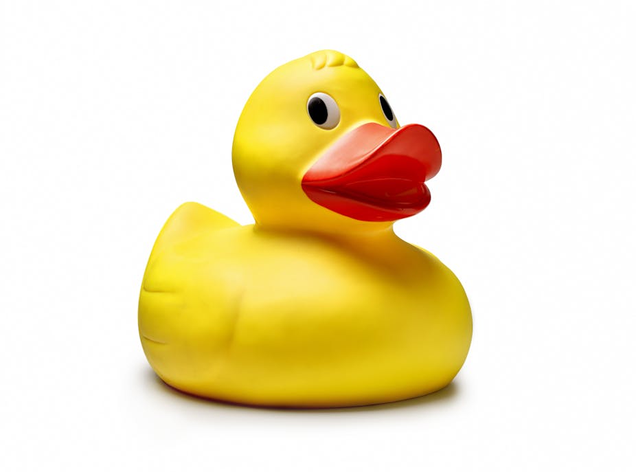 A rubber duck.