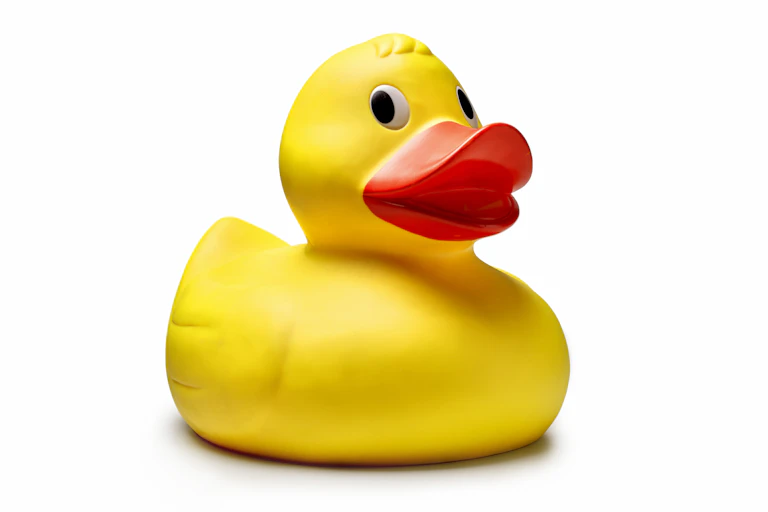 A rubber duck.