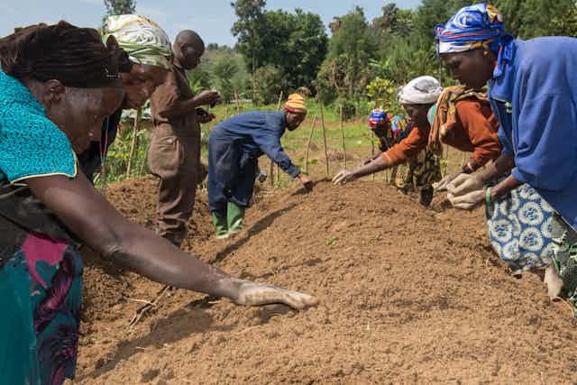 A group of men and women placing seeds into a mound of earth 