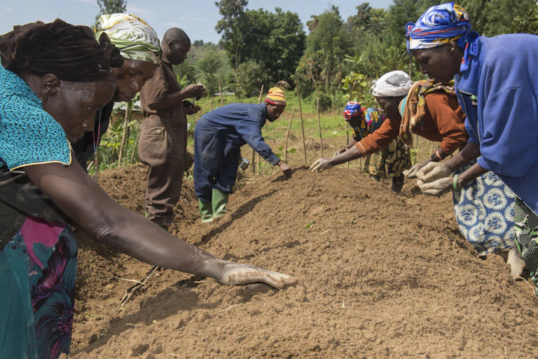 A group of men and women placing seeds into a mound of earth