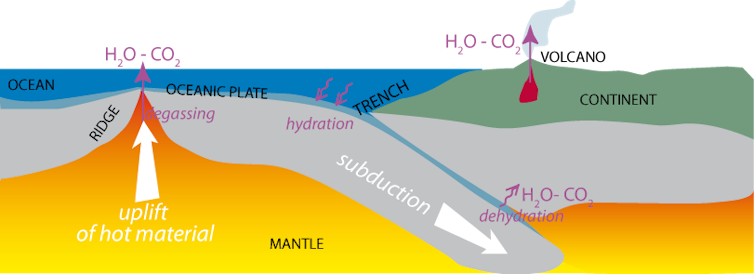 Interactions with water, plate tectonics and CO₂