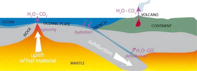Interactions with water, plate tectonics and CO₂