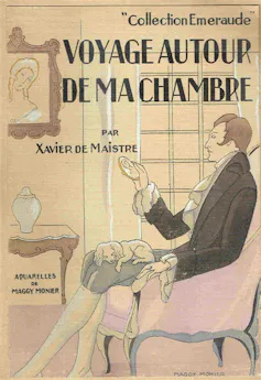 Book cover of The Voyage Around my Room.