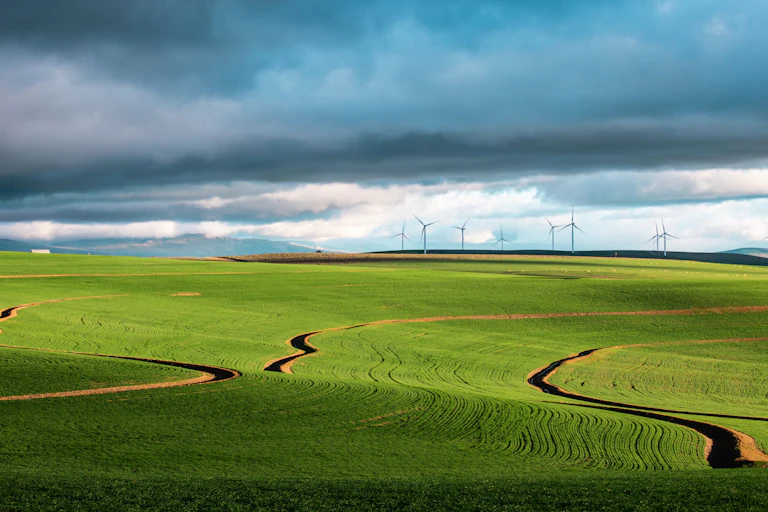 A green field with wind turbines on the horizon.