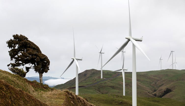 Wind farm in New Zealand