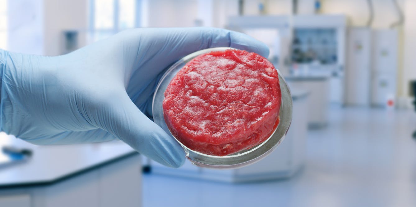 Israel se convierte en el primer país del mundo en autorizar la venta de carne de vacuno cultivada