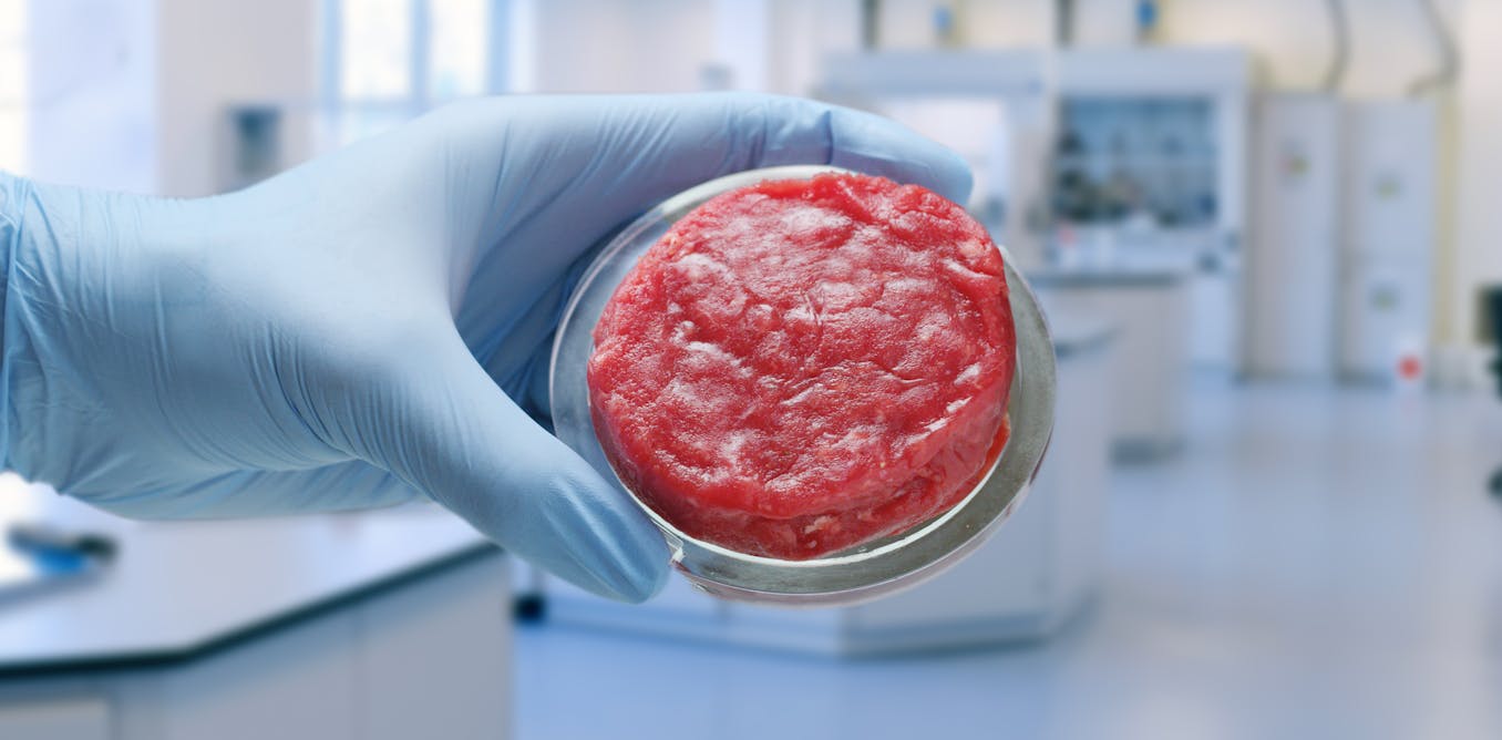 Israel se convierte en el primer país del mundo en autorizar la venta de carne de vacuno cultivada