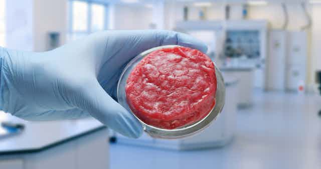Una mano enguantada exhibe una muestra de carne artificial en un laboratorio.