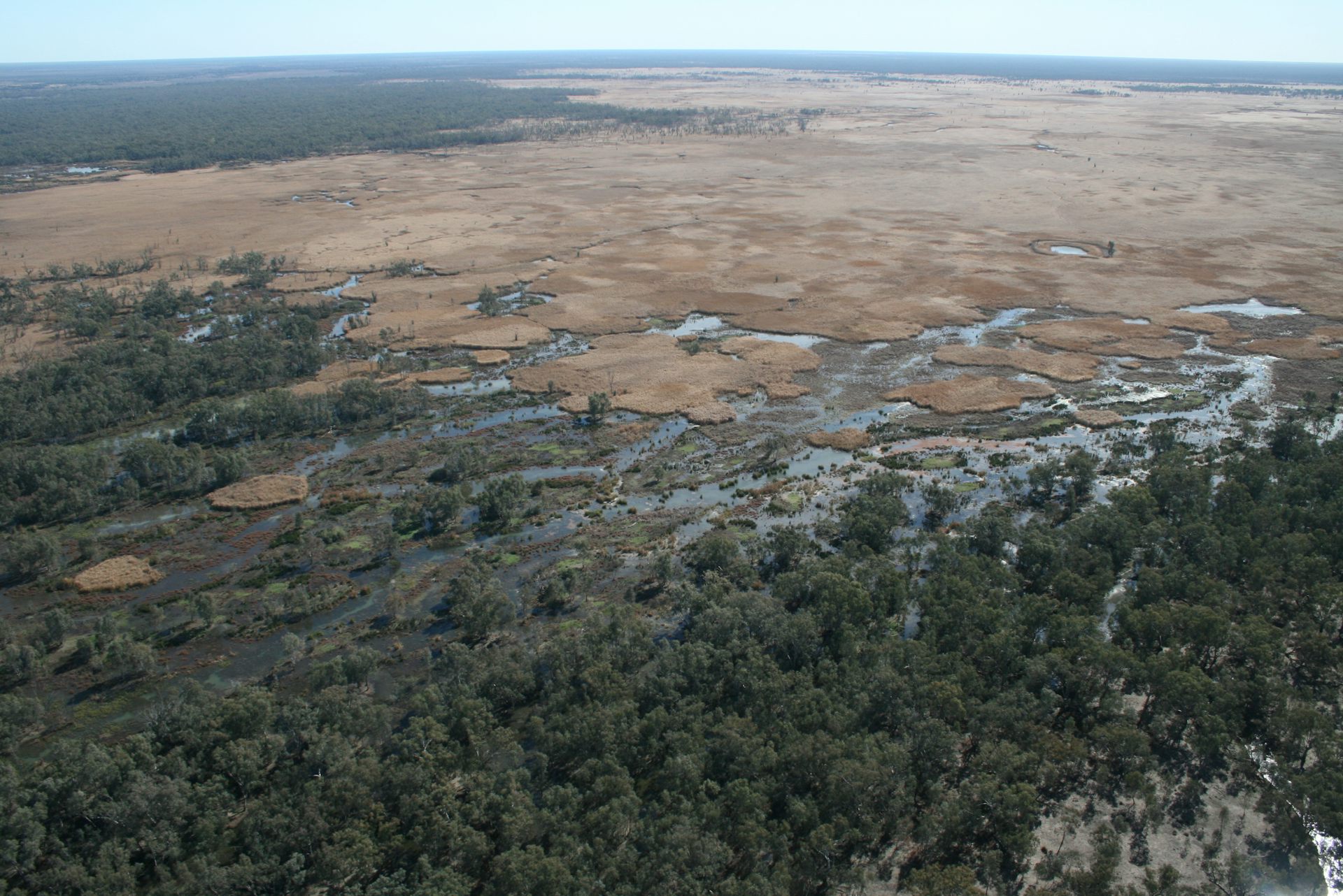 An aerial view of a dry plain on one side and an expanse of green and damp habitat on the other.