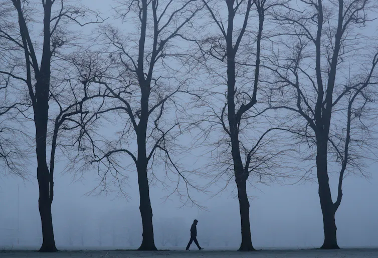A lone figure walks through bare trees.