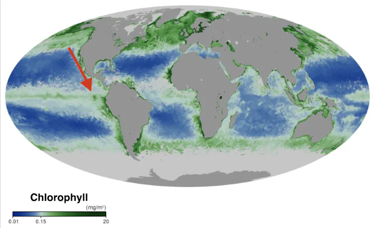World map. Land is grey, sea is blue and green
