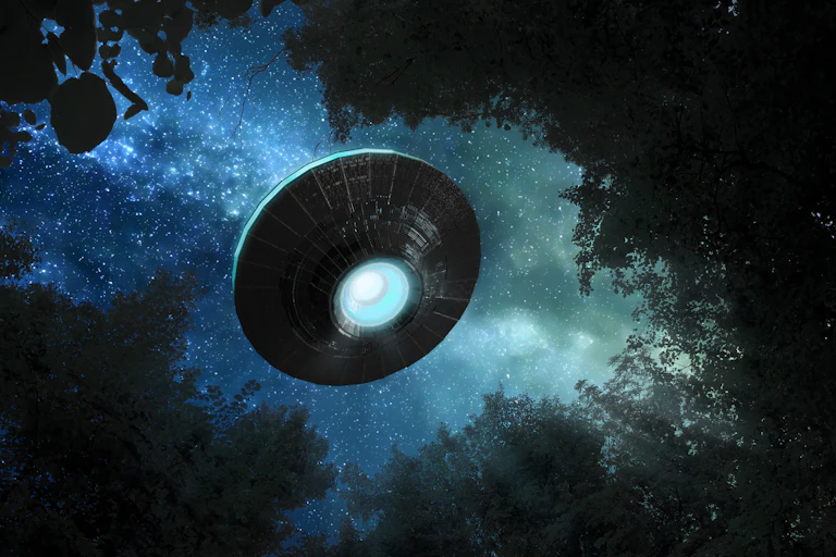 Spaceship visible in sky through trees