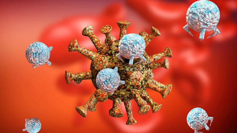 ¿Qué es la memoria inmunitaria y cómo es la que consigue la vacuna contra la covid-19? ¿Qué es la memoria inmunitaria y cómo es la que consigue la vacuna contra la covid-19?