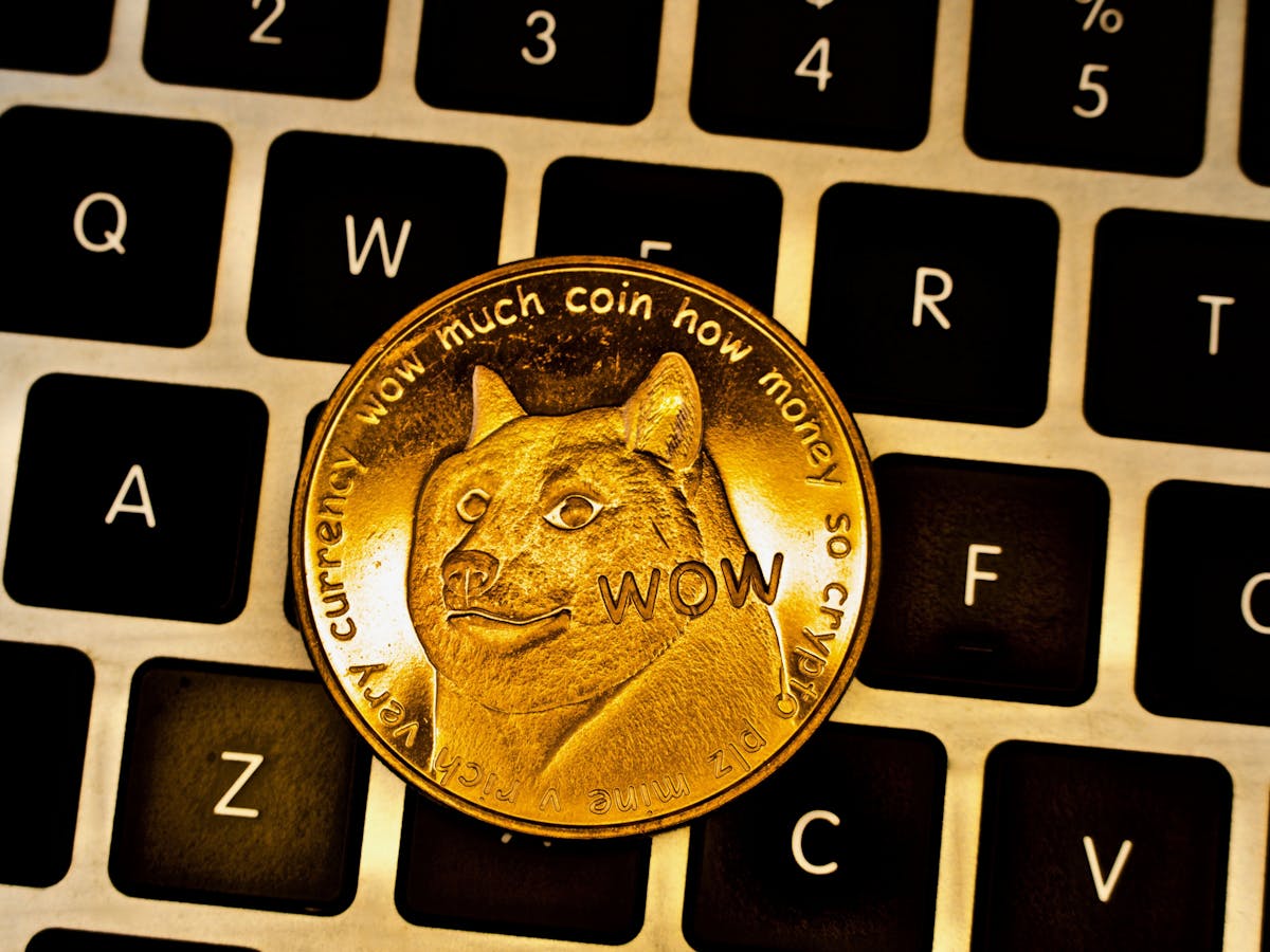 Musk elon yacht wallstreetbets Dogecoin Meme Reddit - Le Lil Bro From 69420 Years Later Who Has A Flashback While Trying To