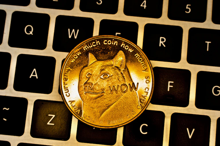 Dogecoin on a keyboard looking fresh
