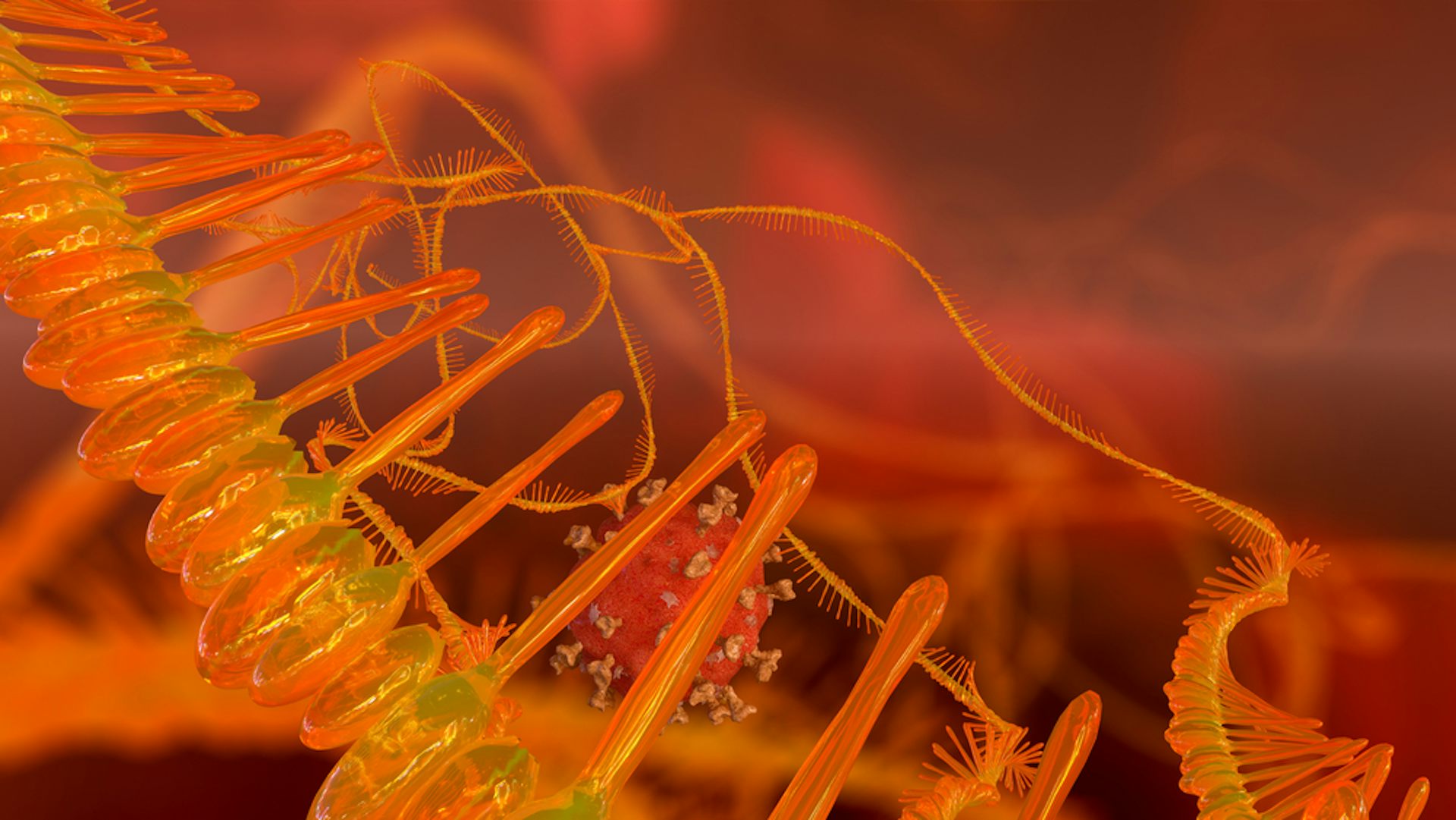 4 things about mRNA COVID vaccines researchers still want to find out