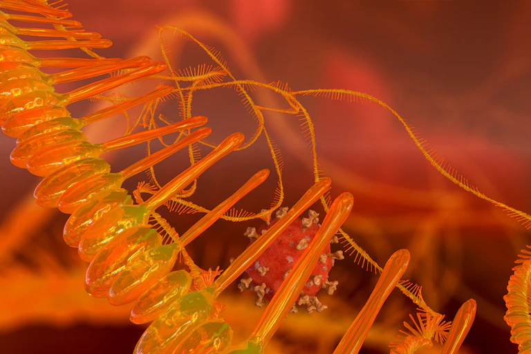 Artist impression of mRNA molecule