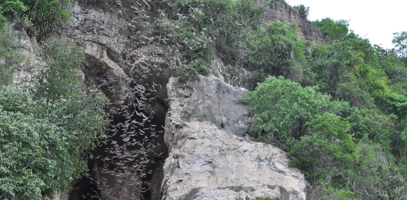In 2010, a virus similar to sars-cov-2 was already present in cambodia