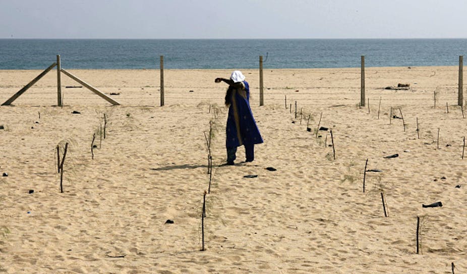 Person standing on a fenced part of a sandy beach