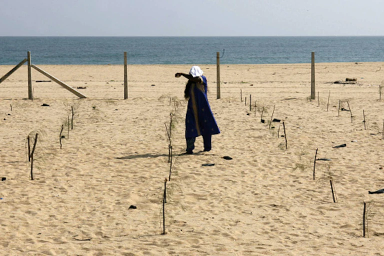 Person standing on a fenced part of a sandy beach