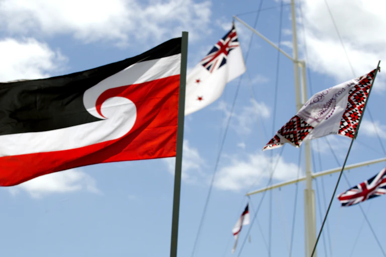 Tino Rangatiratanga flag with other flags against blue sky