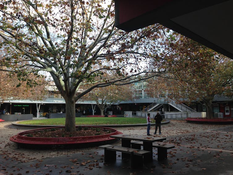 La Trobe University campus