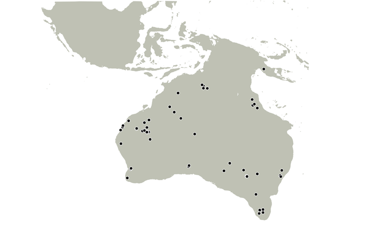 A map showing the locations of the oldest archaeological sites in Sahul.