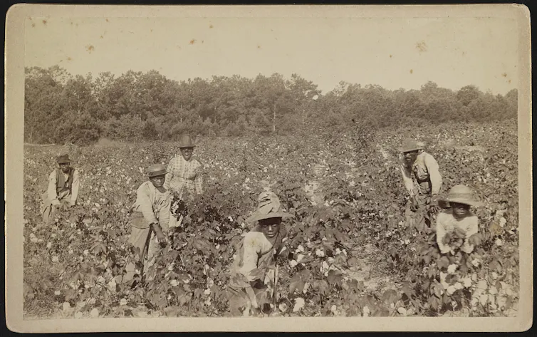 Sepia-toned lithograph of six Black men and women in sunhats and overalls in a cotton field