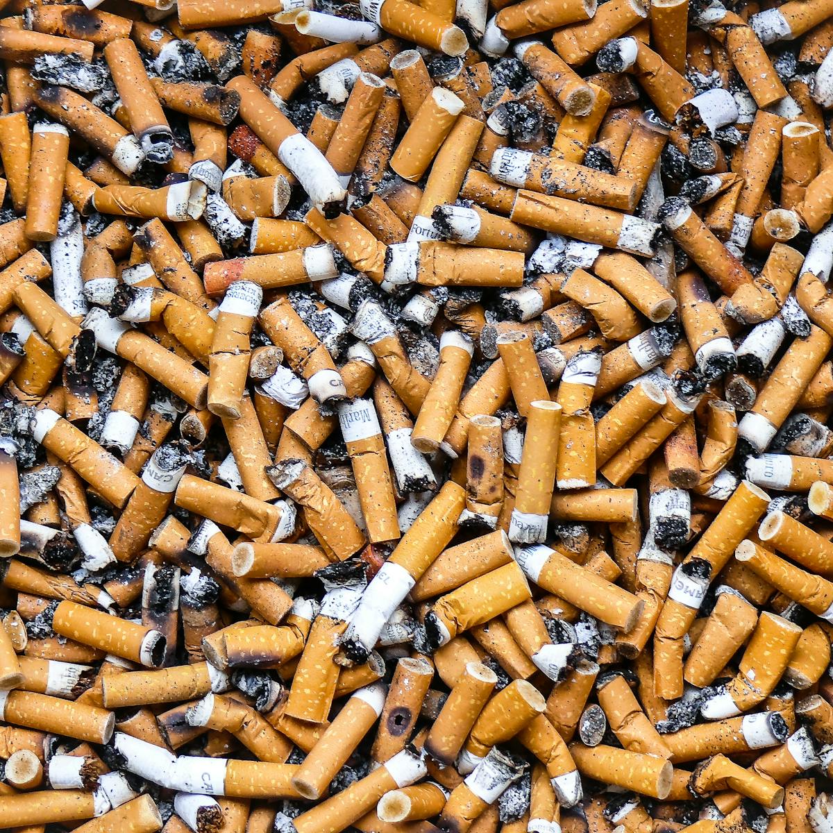 how does tobacco use affect the human body research paper