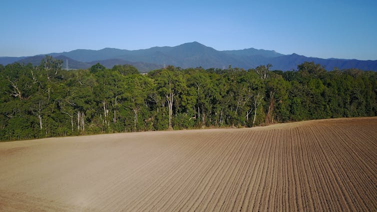 Farm meets forest