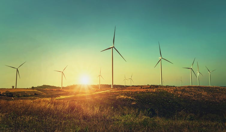 Wind turbines in a field