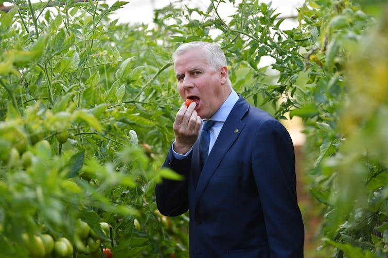 Michael McCormack eating a piece of fruit