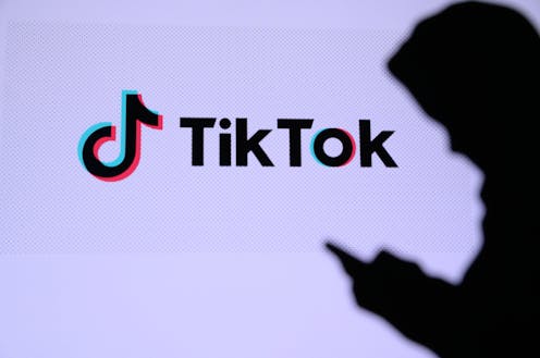 Los retos de TikTok ponen en alerta a las familias: ¿Hay que bloquear la plataforma? 7 file 20210208 17 11krwfx.jpg?ixlib=rb 1.1