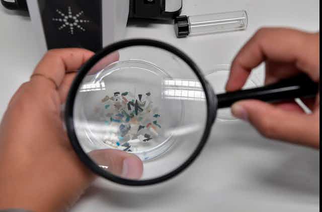 Small plastic fragments under a magnifying glass.