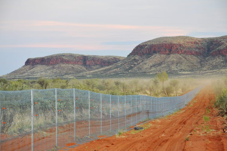 Fence with scenic hills behind