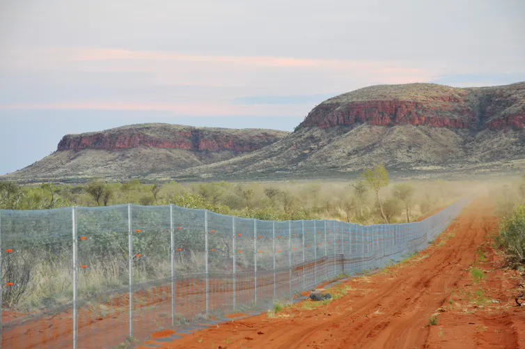 Fence with scenic hills behind