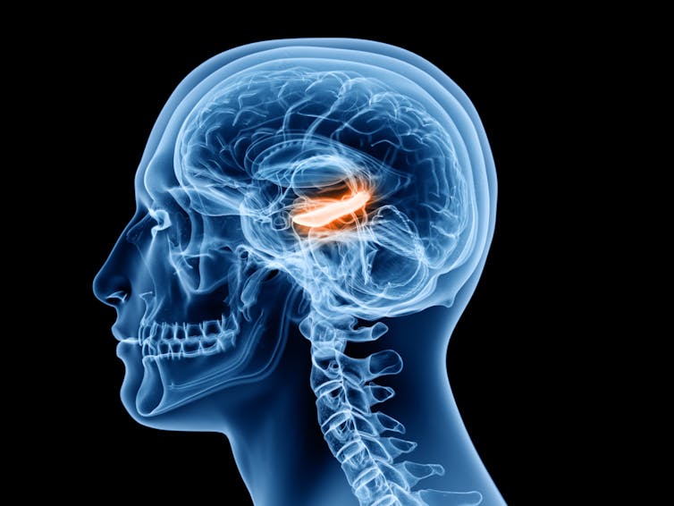 People With Depression Can Sometimes Experience Memory Problems Here S Why People With Depression Can Sometimes Experience Memory Problems Here S Why