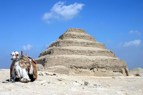 La genética ayuda a averiguar de dónde salieron los cuatro millones de ibis momificados de Saqqara 13 file 20210209 15 1mzz7jg.jpg?ixlib=rb 1.1