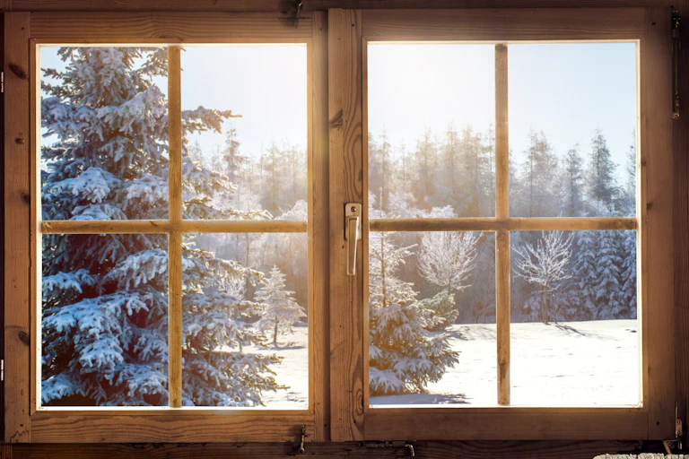 Snowy trees seen through a window.
