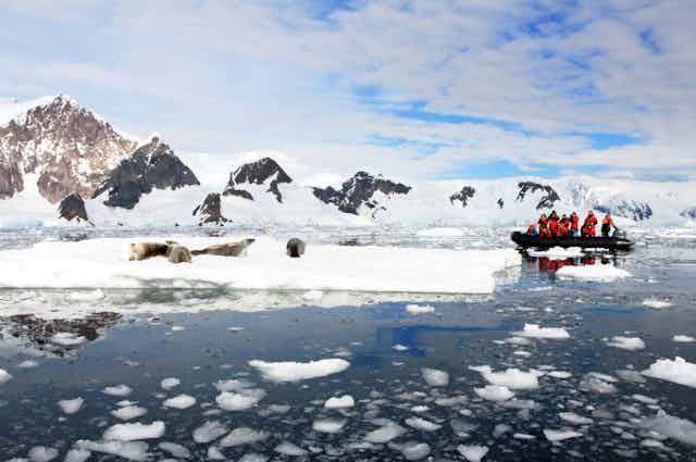Inflatable boat full of tourists, watching seals on an ice berg