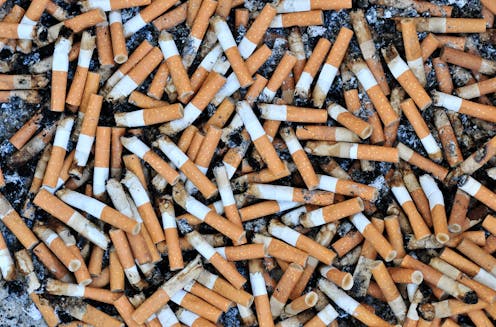 El rastro invisible y tóxico de billones de colillas 7 file 20210210 23 1krx0u1.jpg?ixlib=rb 1.1