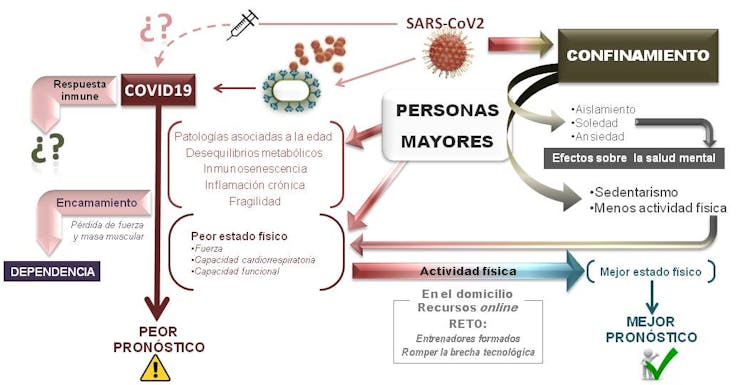 Moviéndonos somos menos vulnerables a la COVID-19 a cualquier edad 10 file 20210210 17 hgsthv.jpg?ixlib=rb 1.1