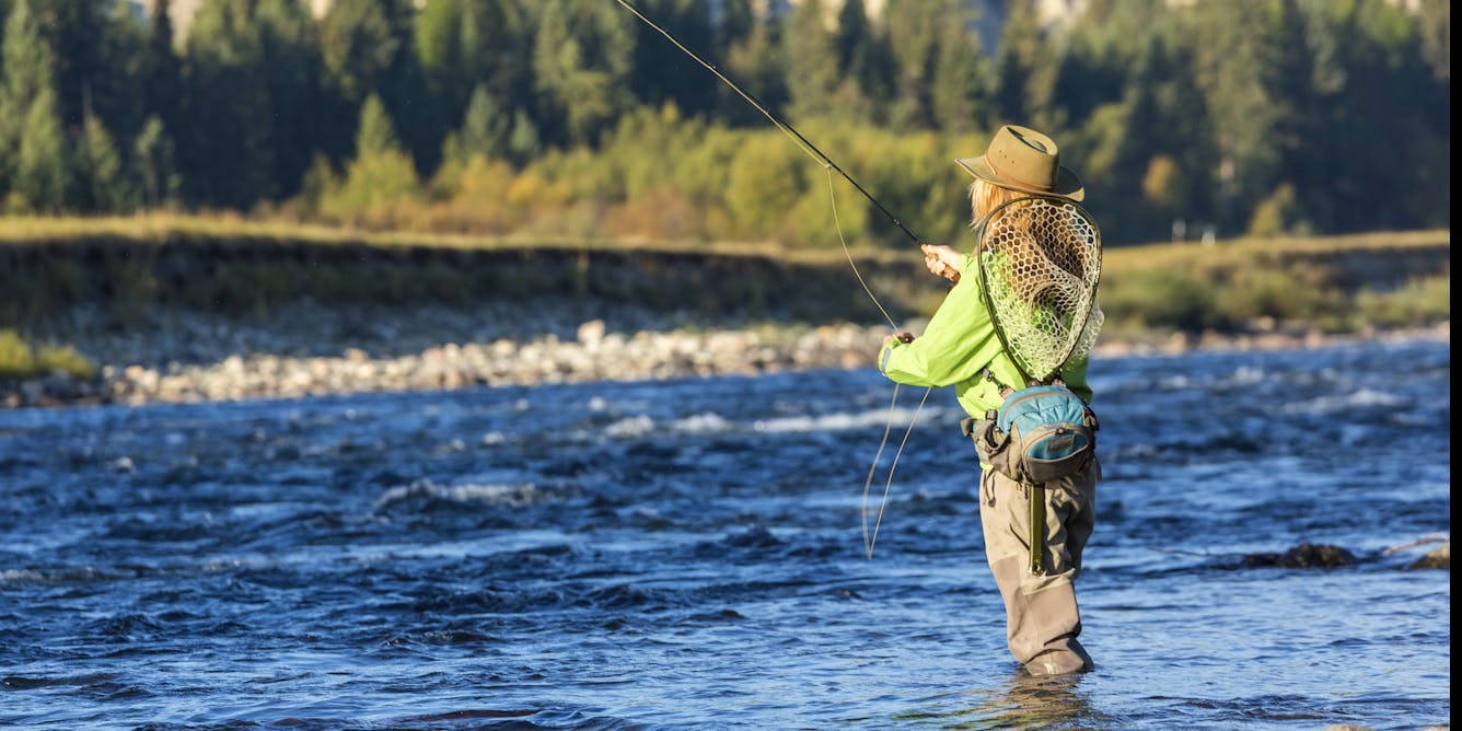 Your favorite fishing stream may be at high risk from climate change ...