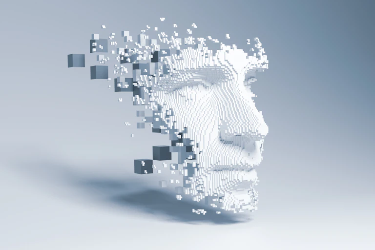 A 3D pixelated model of a human face.