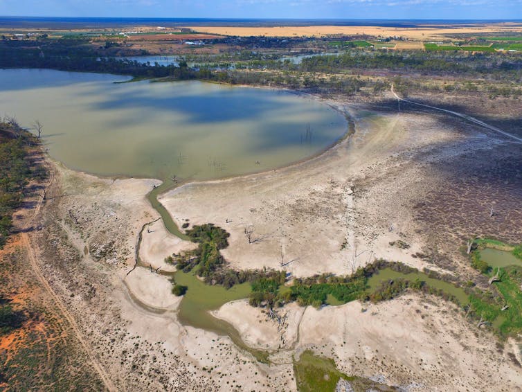 Aerial view of a wetland in the Murray-Darling Basin