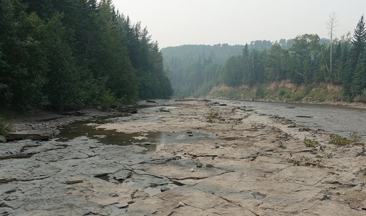 Tracksite in Albert, Canada